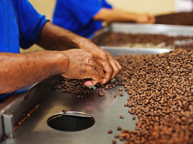 Selecting beans